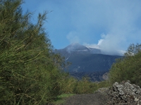 anobello-01042012 057